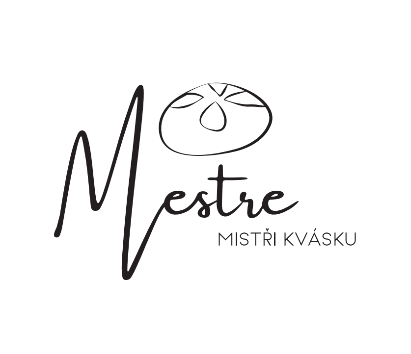 FESCHU_MESTRE logo FESCHU_MESTRE logo